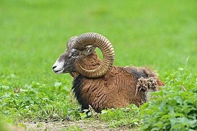 《那由多之轨迹：星之彼方》Switch版新预告 5月26日发售