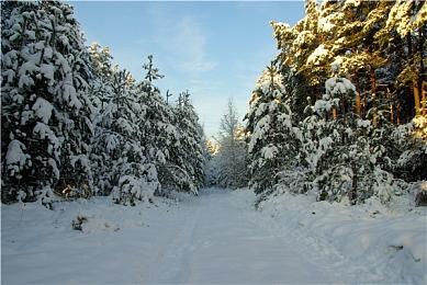 《合金装备Δ：食蛇者》进展顺利 许多原作者参与制作
